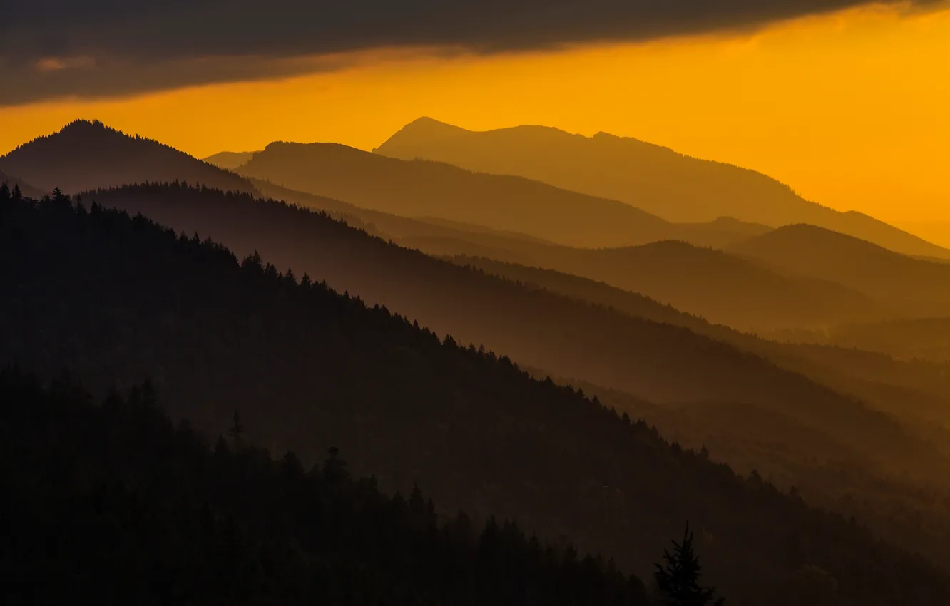 Photo wallpaper sunset, mountains, Poland, Carpathians