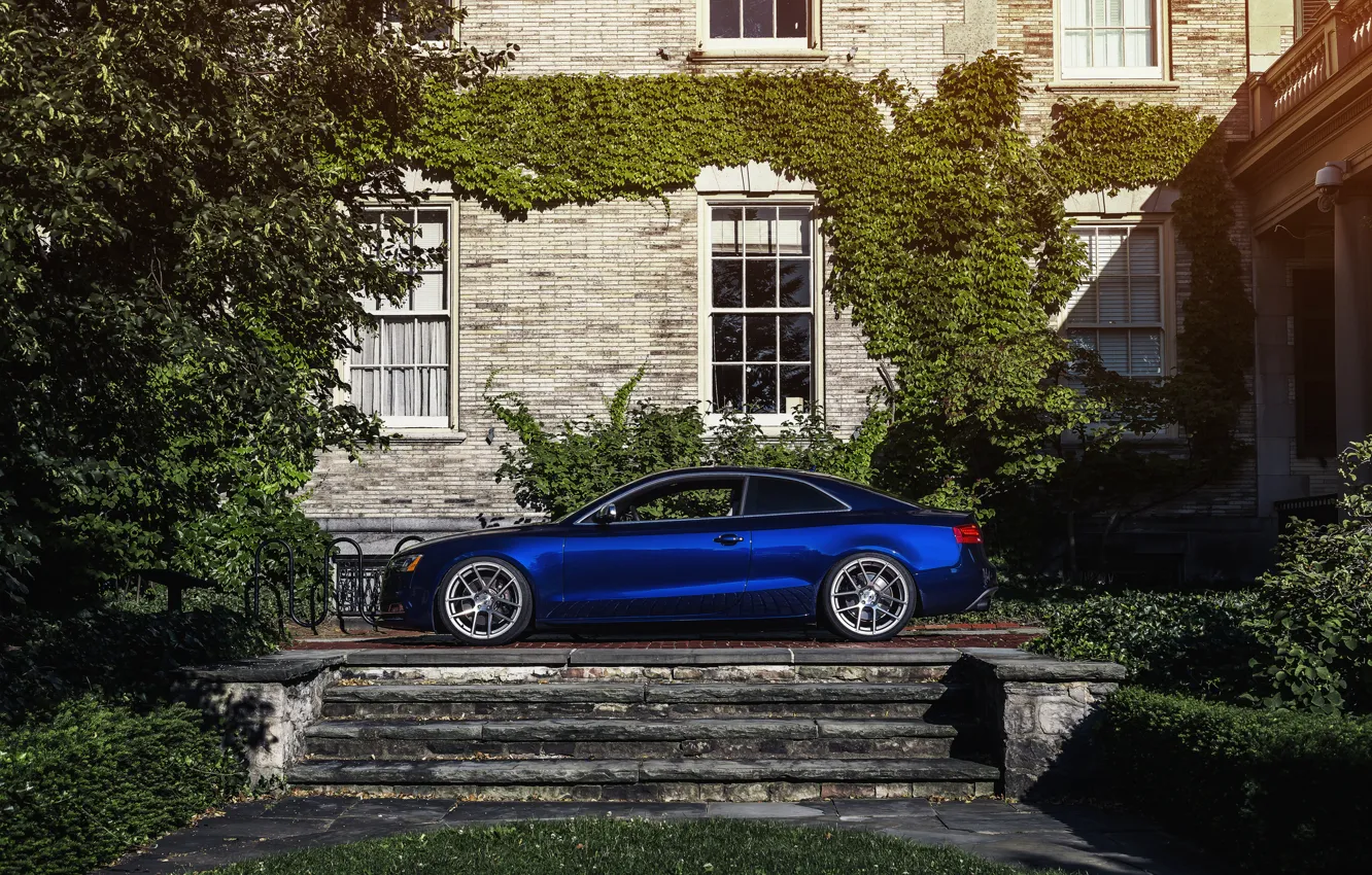 Photo wallpaper Audi, Audi, profile, blue, Blue