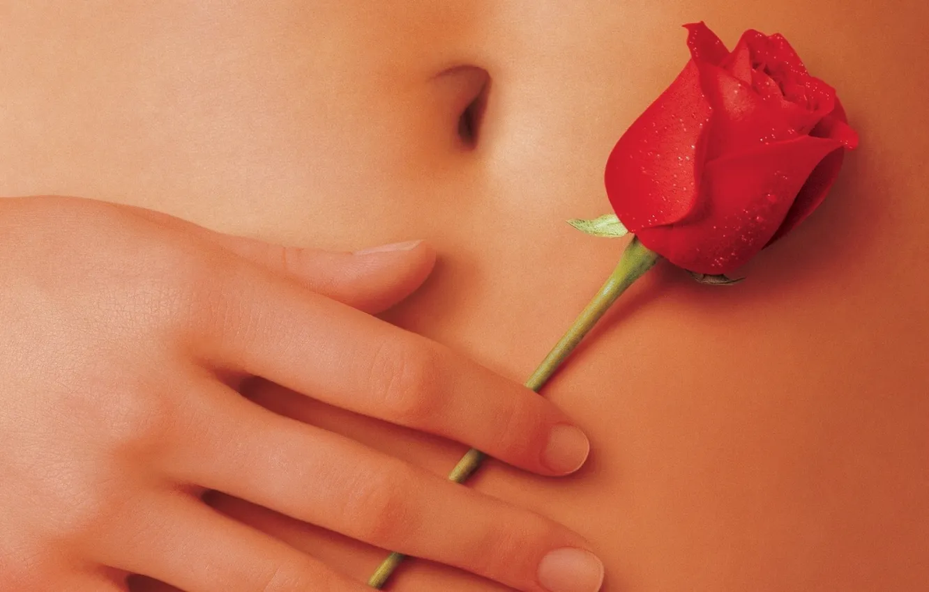 Photo wallpaper girl, tummy, roses