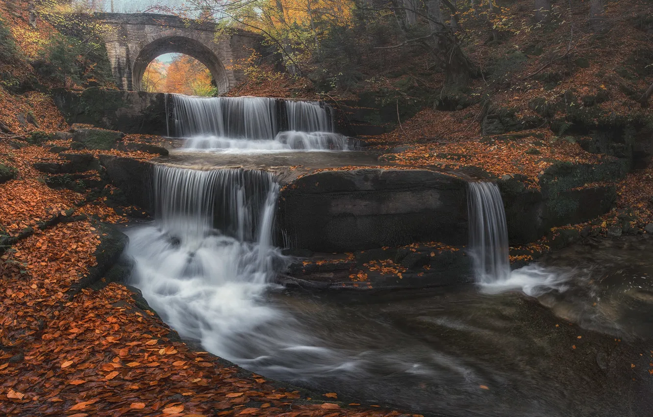 Photo wallpaper autumn, leaves, trees, bridge, cascade