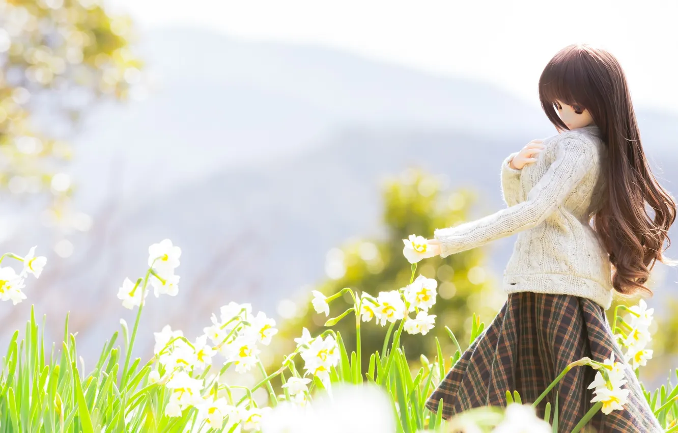 Photo wallpaper flowers, spring, flowers, daffodils, spring, doll, doll, daffodils