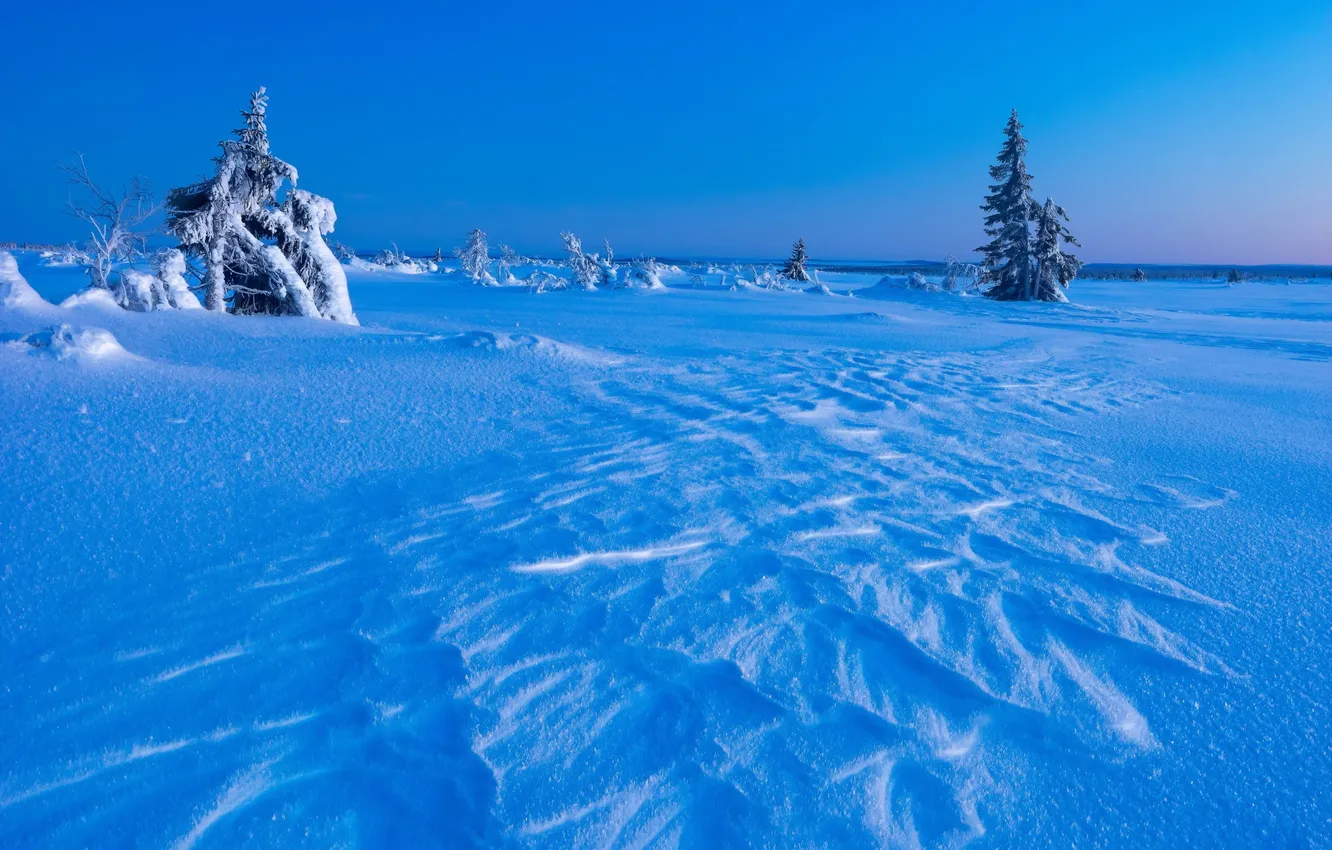 Photo wallpaper cold, winter, snow