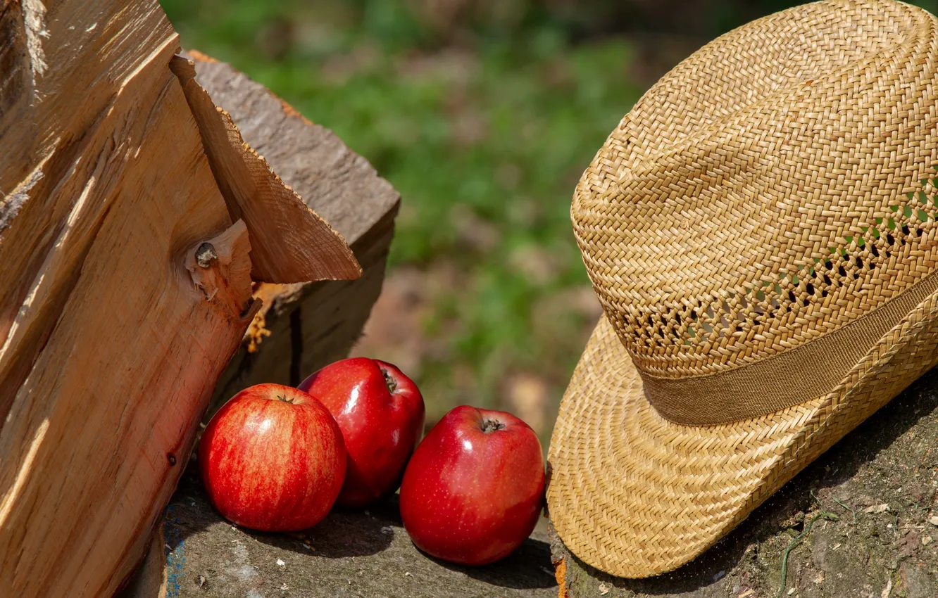 Photo wallpaper summer, red, apples, hat, three, wood, fruit, composition