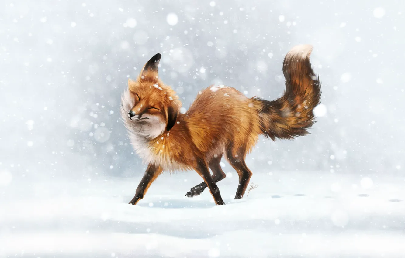 Photo wallpaper winter, snow, Fox, fox, winter, snow, animal, First snow