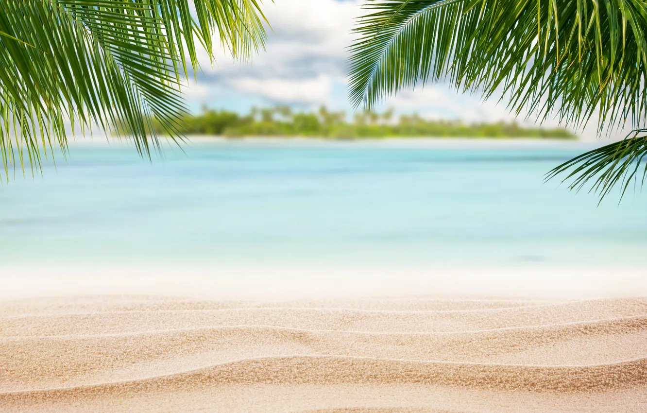 Photo wallpaper sand, sea, wave, beach, summer, the sky, palm trees, shore