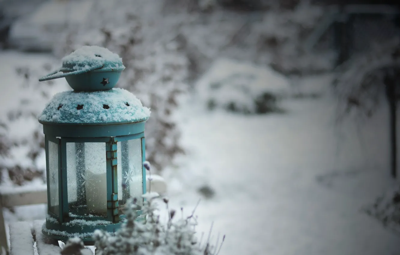 Photo wallpaper macro, background, lamp