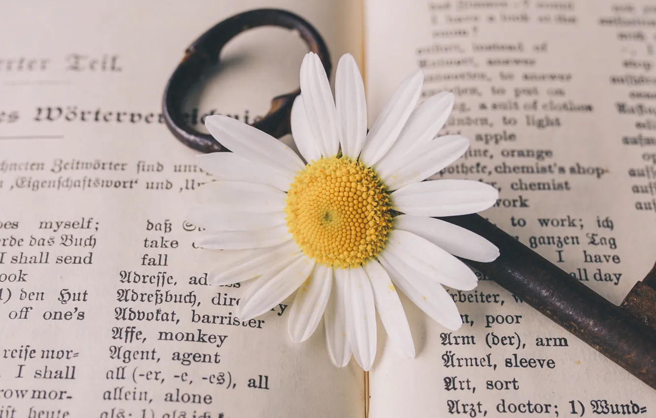 Photo wallpaper white, flowers, text, letters, chamomile, key, book, iron