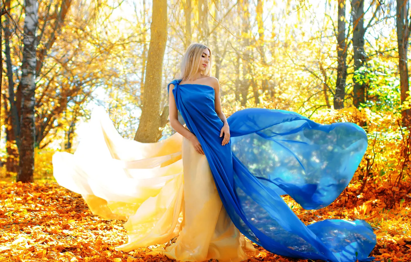 Photo wallpaper autumn, forest, white, leaves, girl, light, trees, branches