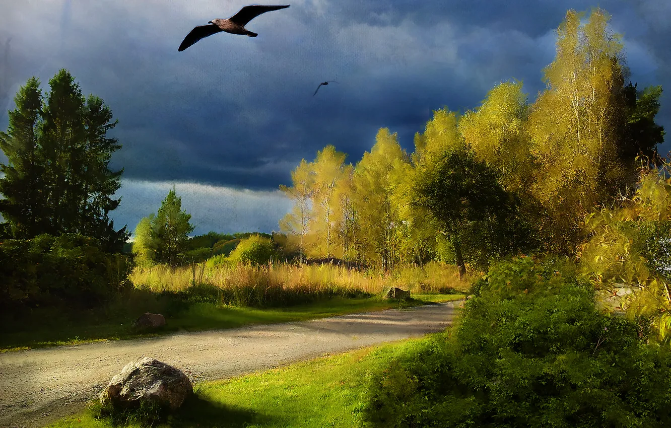 Photo wallpaper road, grass, trees, landscape, bird, figure, picture, canvas