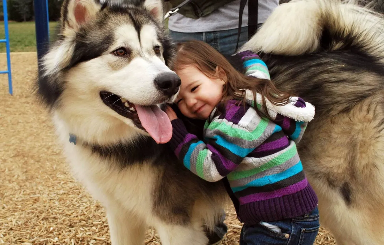 Photo wallpaper nature, children, each, mood, dog, brunette, friendship, girl