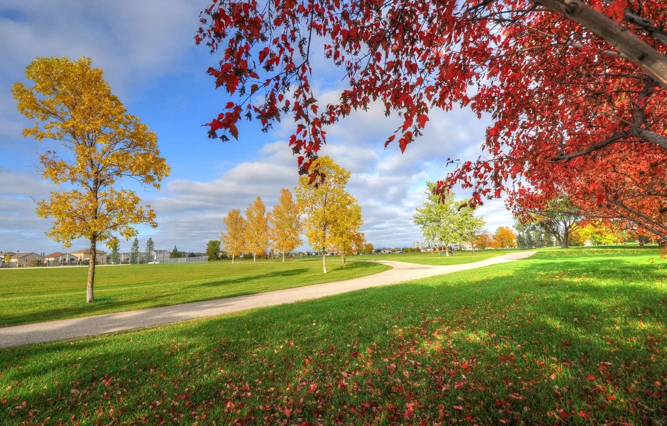Photo wallpaper autumn, the sky, grass, trees, Park, home, track