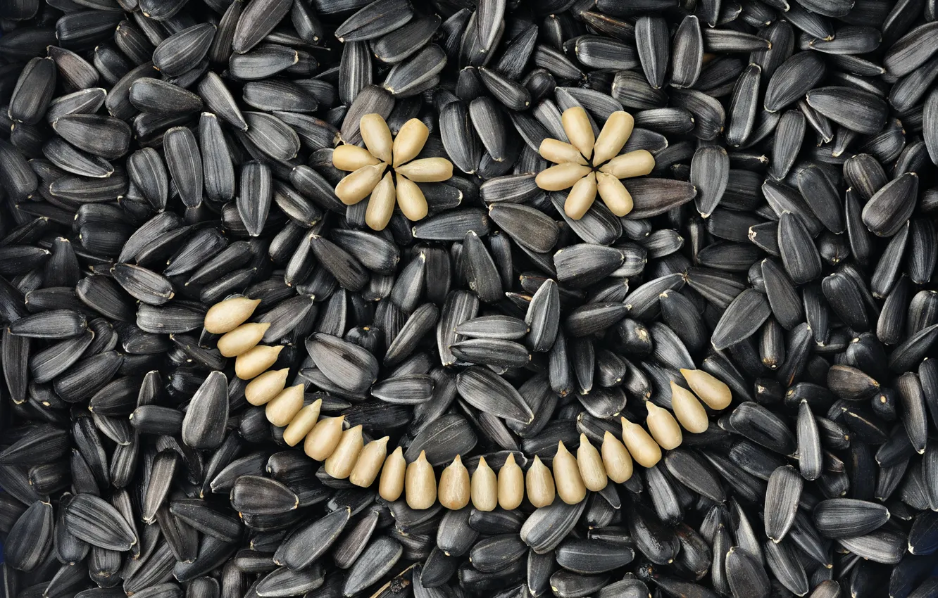 Photo wallpaper smile, sunflower, seeds