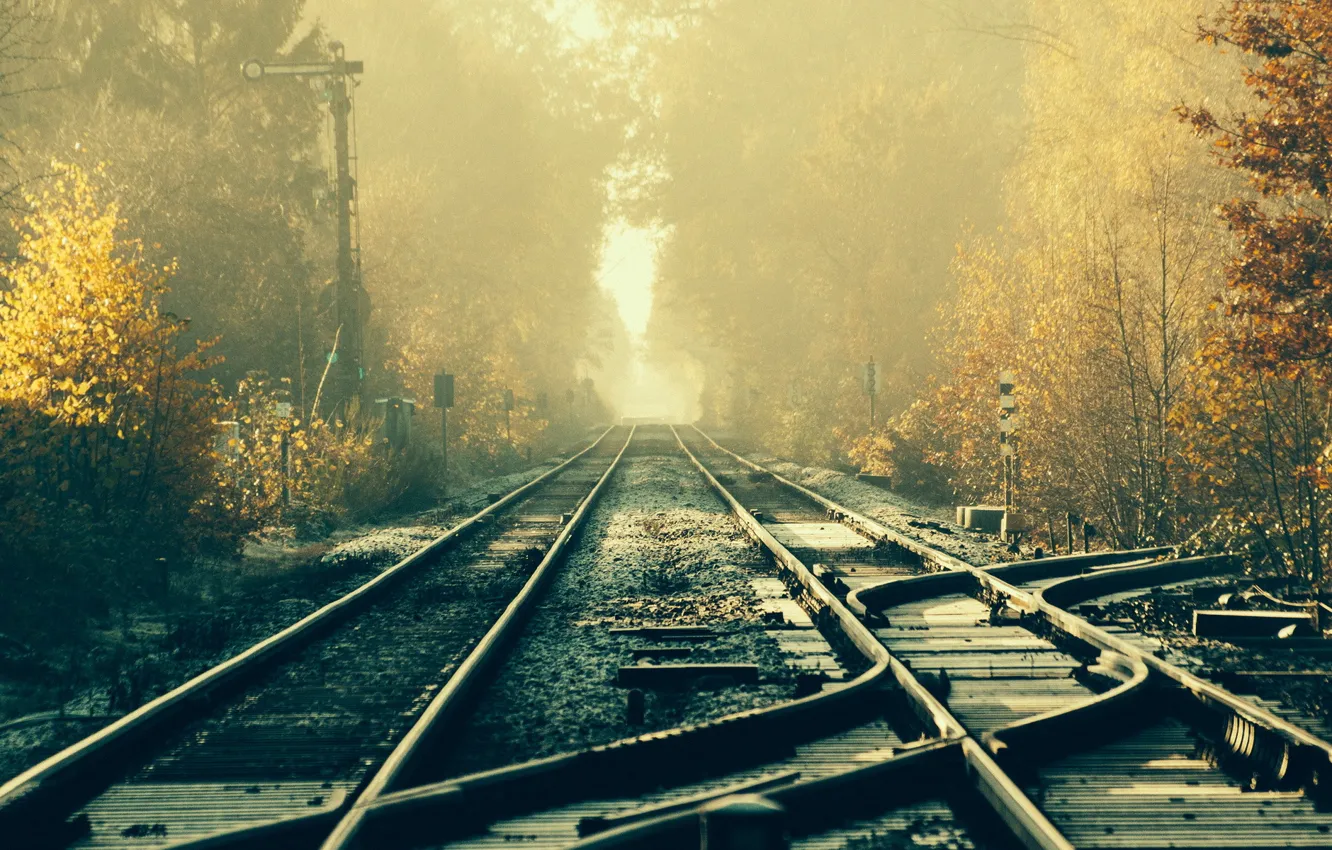 Photo wallpaper light, landscape, morning, railroad
