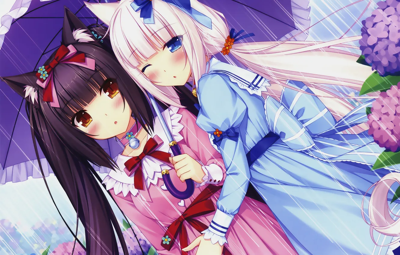 Photo wallpaper look, girl, flowers, rain, surprise, umbrella, hugs, art