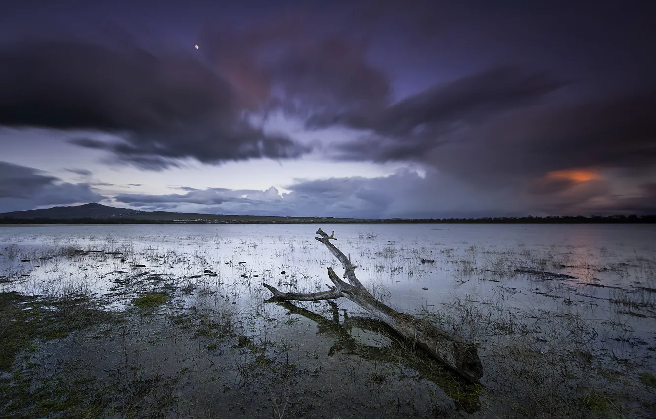 Photo wallpaper the sky, trees, landscape, lake