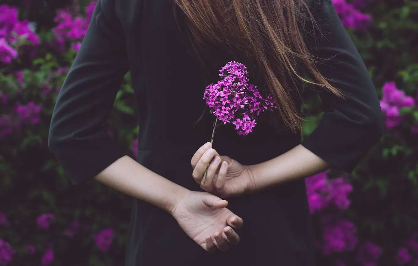 Photo wallpaper girl, flowers, hands, lilac, Michael Dyer