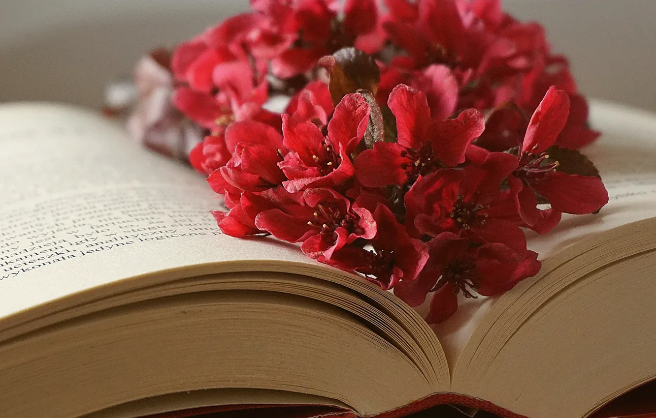 Photo wallpaper flowers, leaves, book