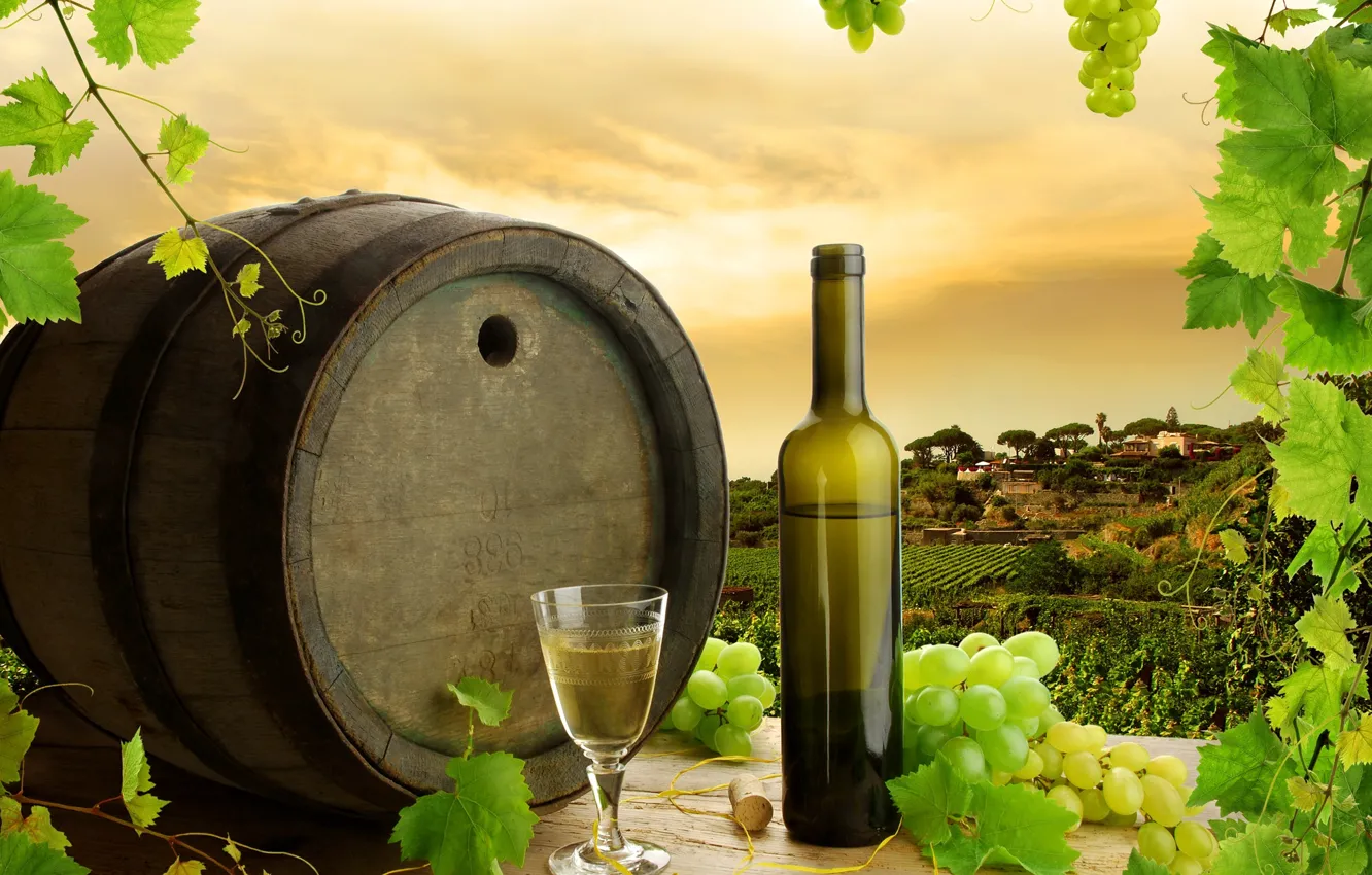 Photo wallpaper leaves, wine, white, bottle, grapes, barrel, the vineyards