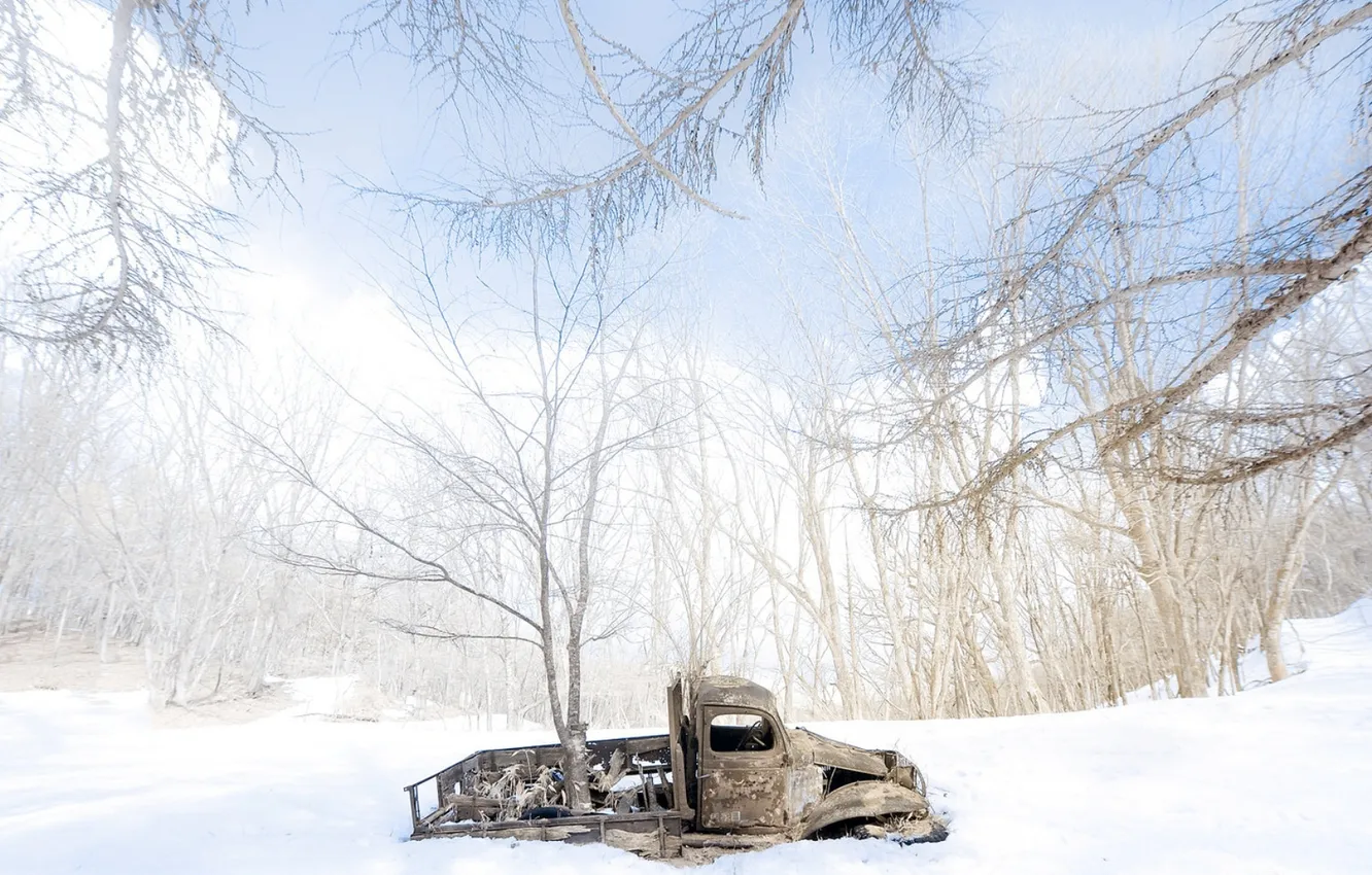 Photo wallpaper machine, snow, tree