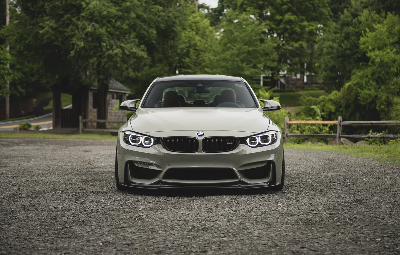 Photo wallpaper BMW, Front, Face, F82, Forest