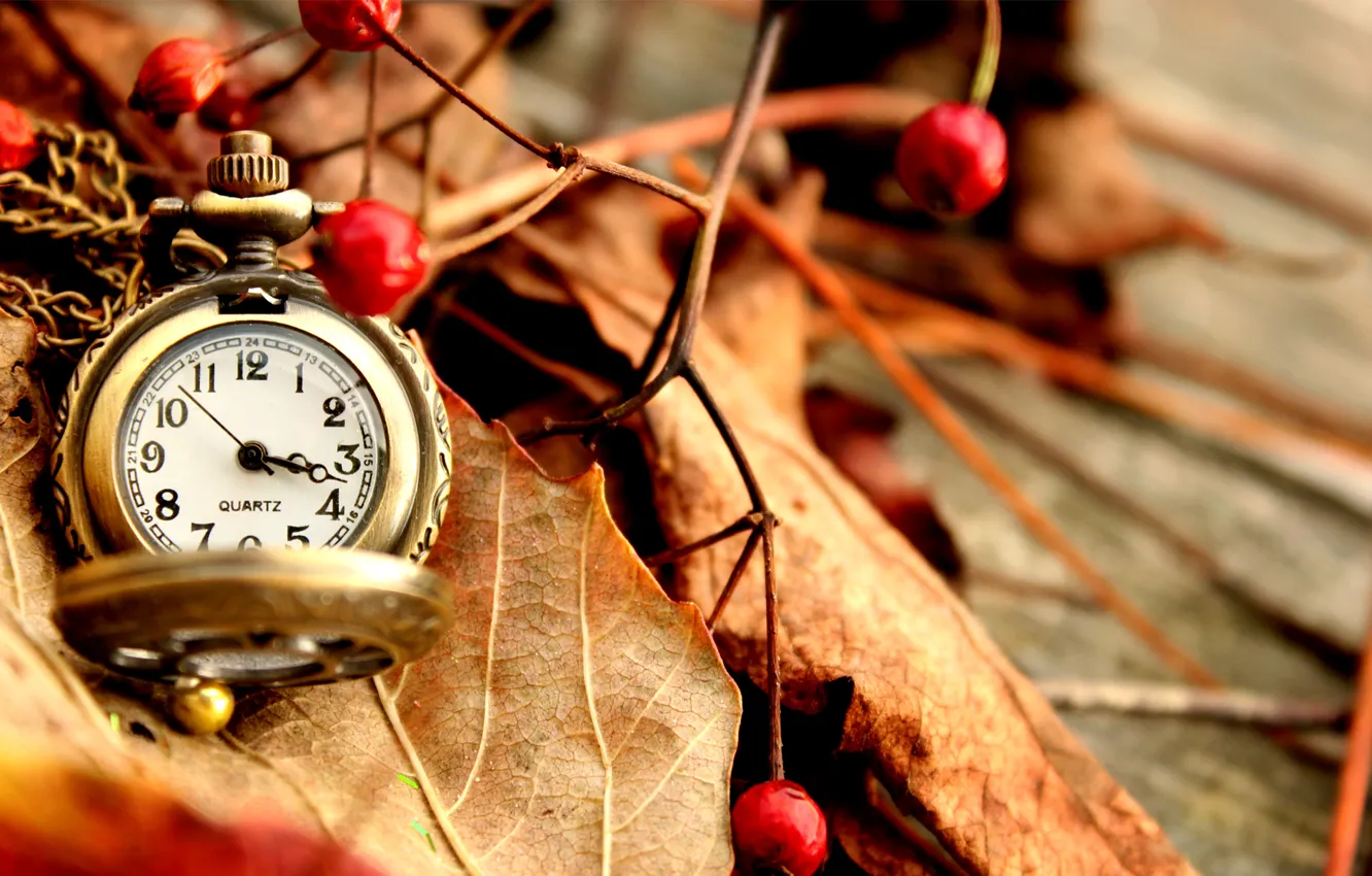 Photo wallpaper autumn, leaves, berries, watch, dry, red, pocket