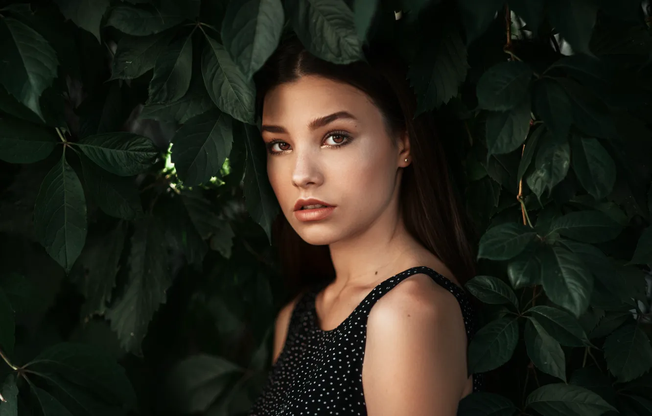 Photo wallpaper look, leaves, girl, brunette, Cherepko Paul