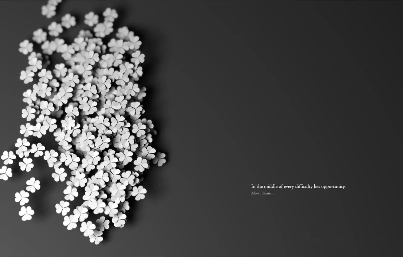 Photo wallpaper background, clover, quote