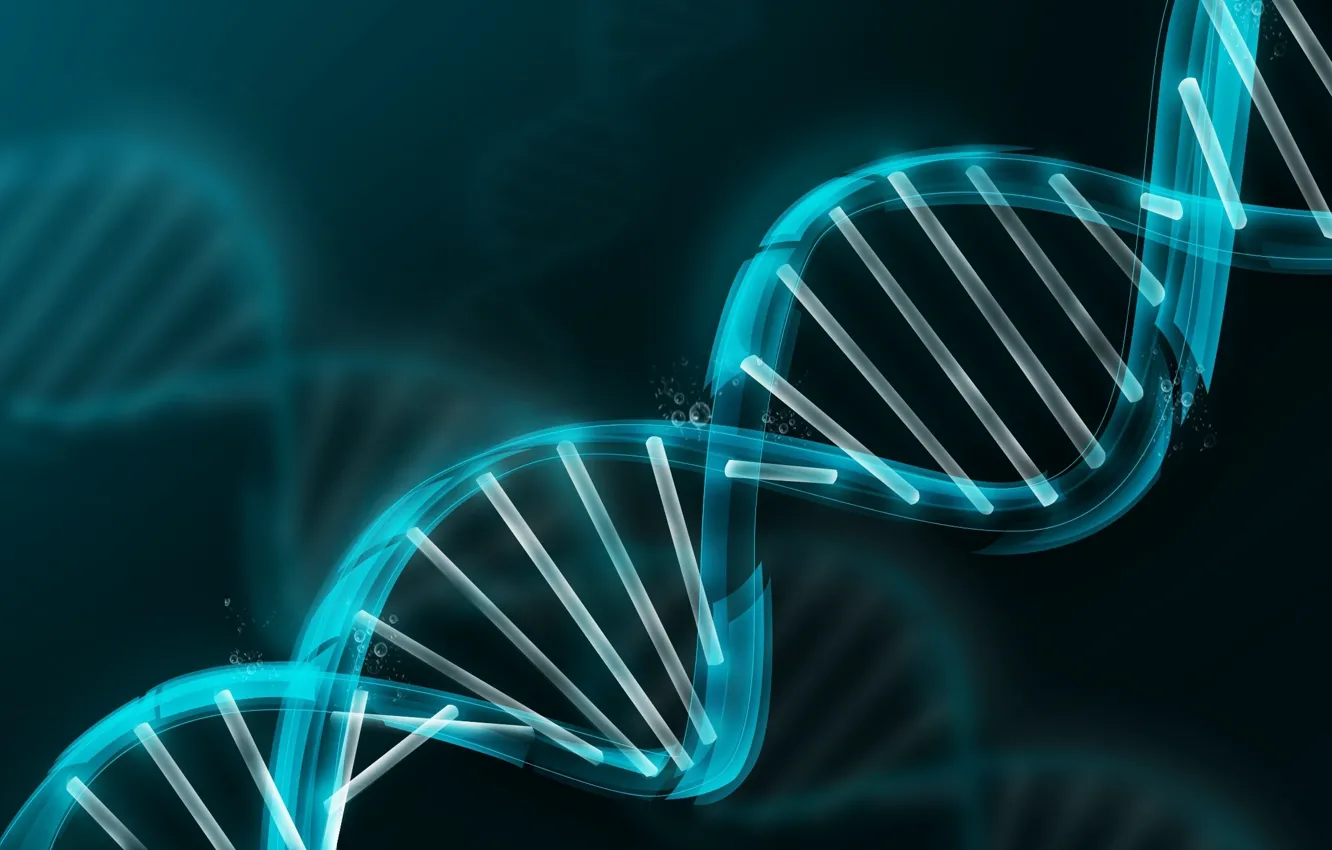 Photo wallpaper model, DNA, blue, molecule