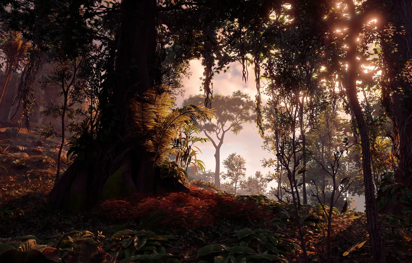 Photo wallpaper trees, Sony Interactive Entertainment, Horizon Zero Dawn, Action/RPG