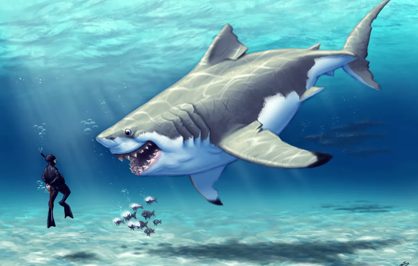 Photo wallpaper sea, fish, joy, the ocean, food, diver, fish, predator