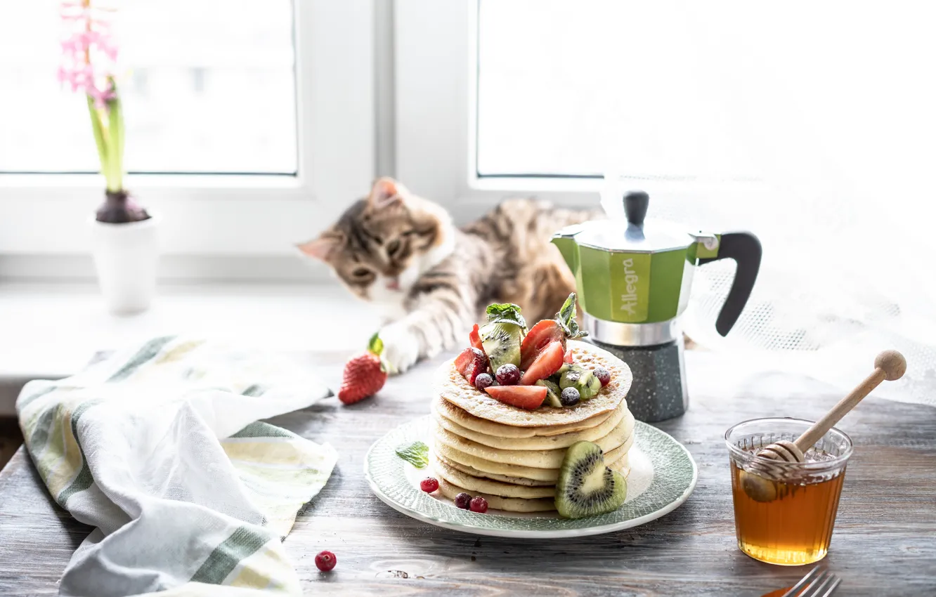 Photo wallpaper berries, kitty, Breakfast, window, honey, pancakes, Karina Klachuk