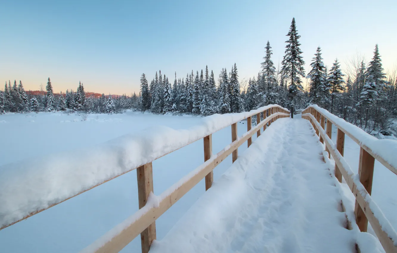 Photo wallpaper winter, forest, snow, bridge, ate, Canada, Canada, Quebec