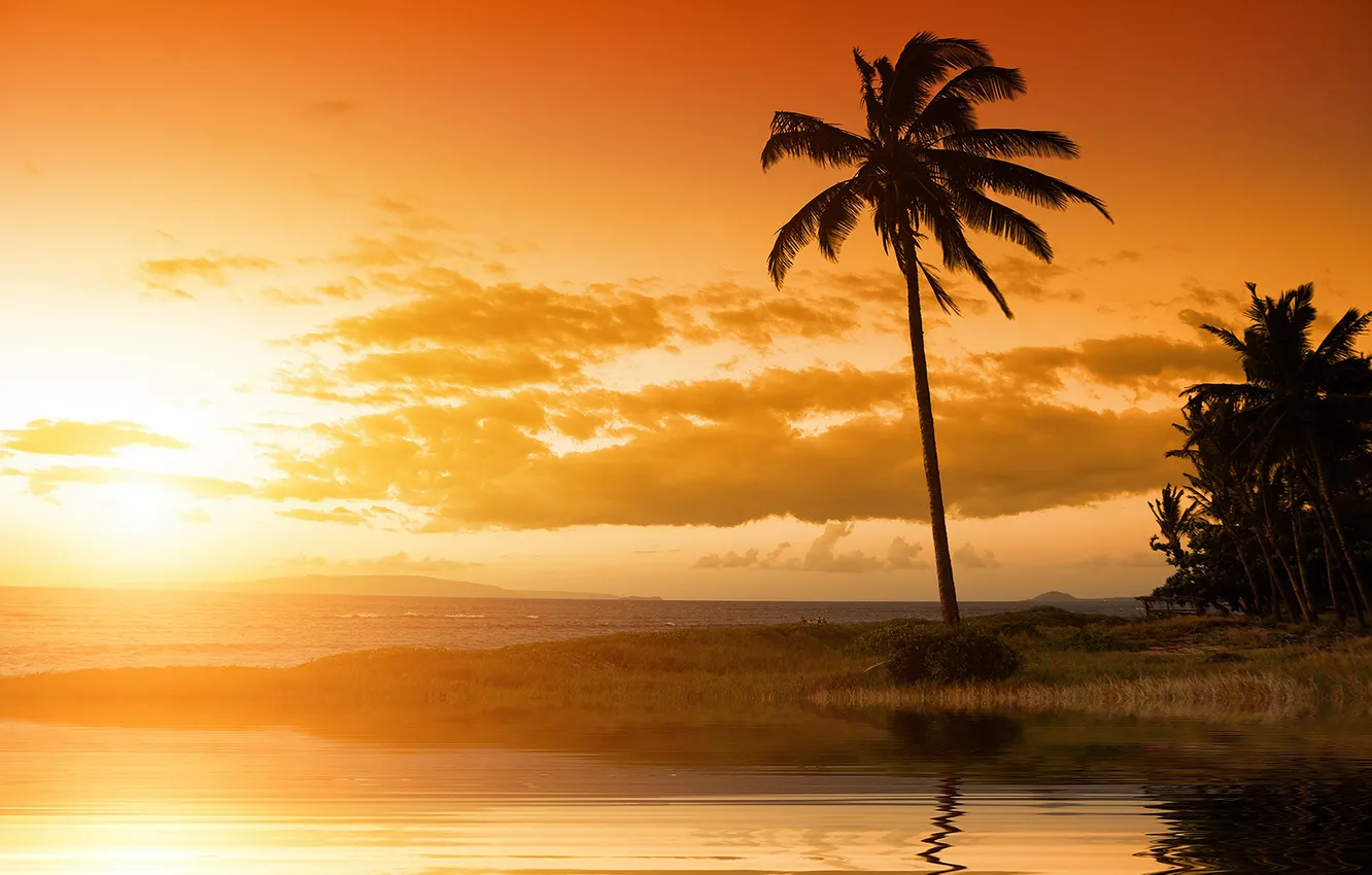 Photo wallpaper sea, beach, the sun, clouds, trees, sunset, tropics, reflection