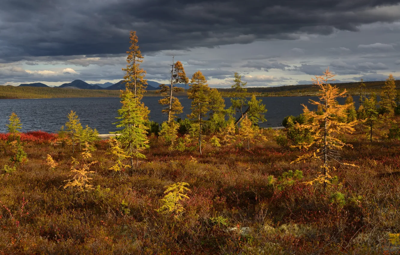 Photo wallpaper autumn, the sky, clouds, river, overcast, shore, vegetation, ate