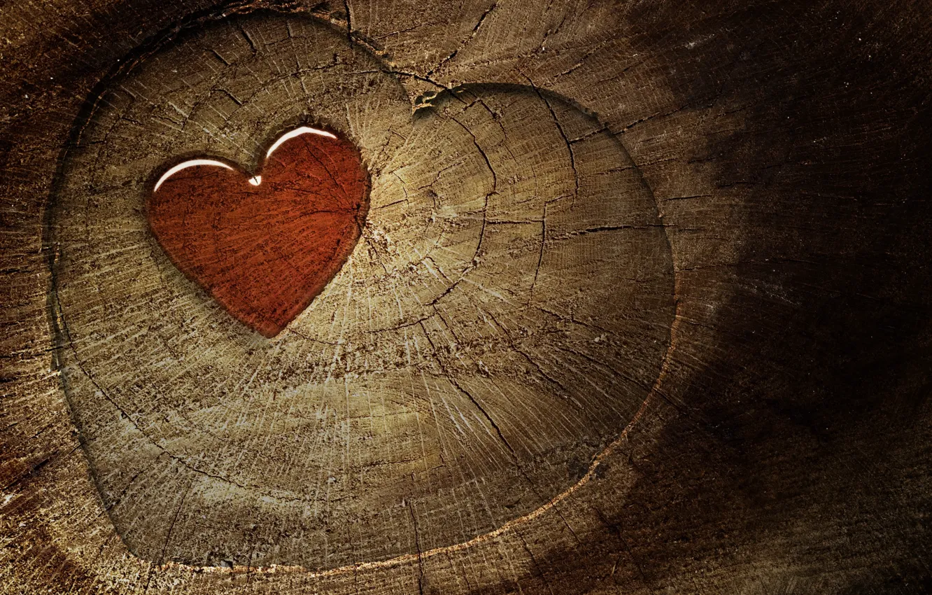 Photo wallpaper cracked, tree, texture, heart, hearts, log, slice