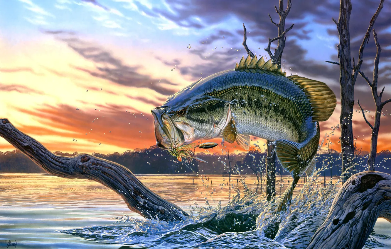 Photo wallpaper river, fish, art, perch, Al Agnew