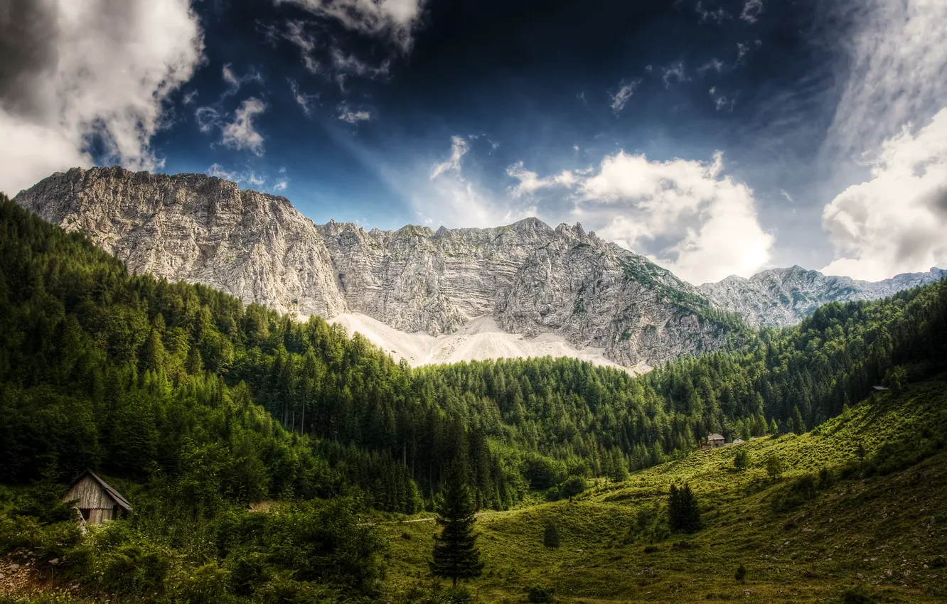 Photo wallpaper forest, the sky, clouds, trees, mountains, blue, Austria, wooden