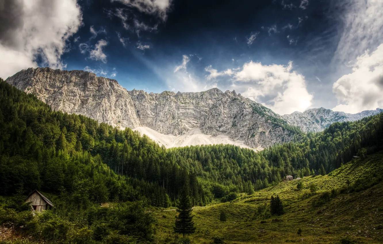 Photo wallpaper forest, the sky, clouds, trees, mountains, Austria, wooden, house