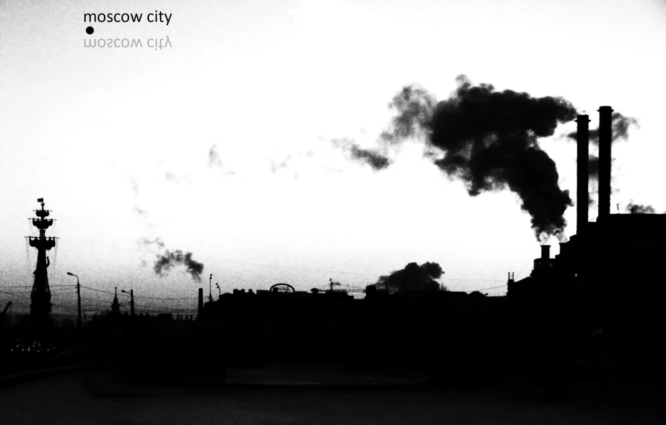 Photo wallpaper plant, smoke, b/W, Moscow, Peter