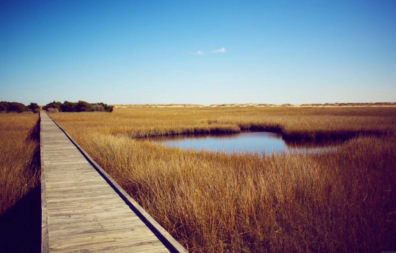 Photo wallpaper road, field, the sky