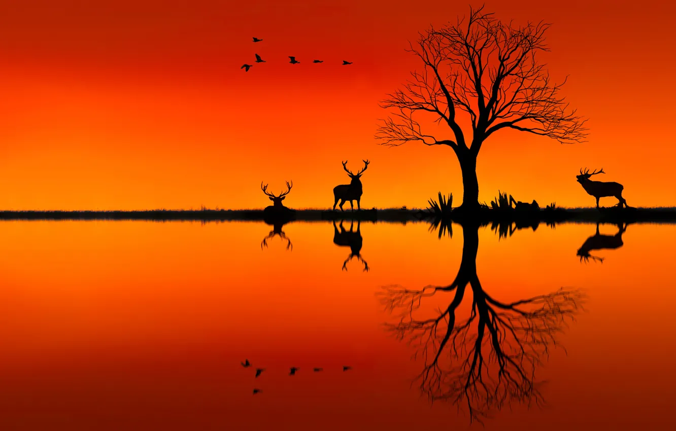 Photo wallpaper sunset, tree, deer, silhouettes