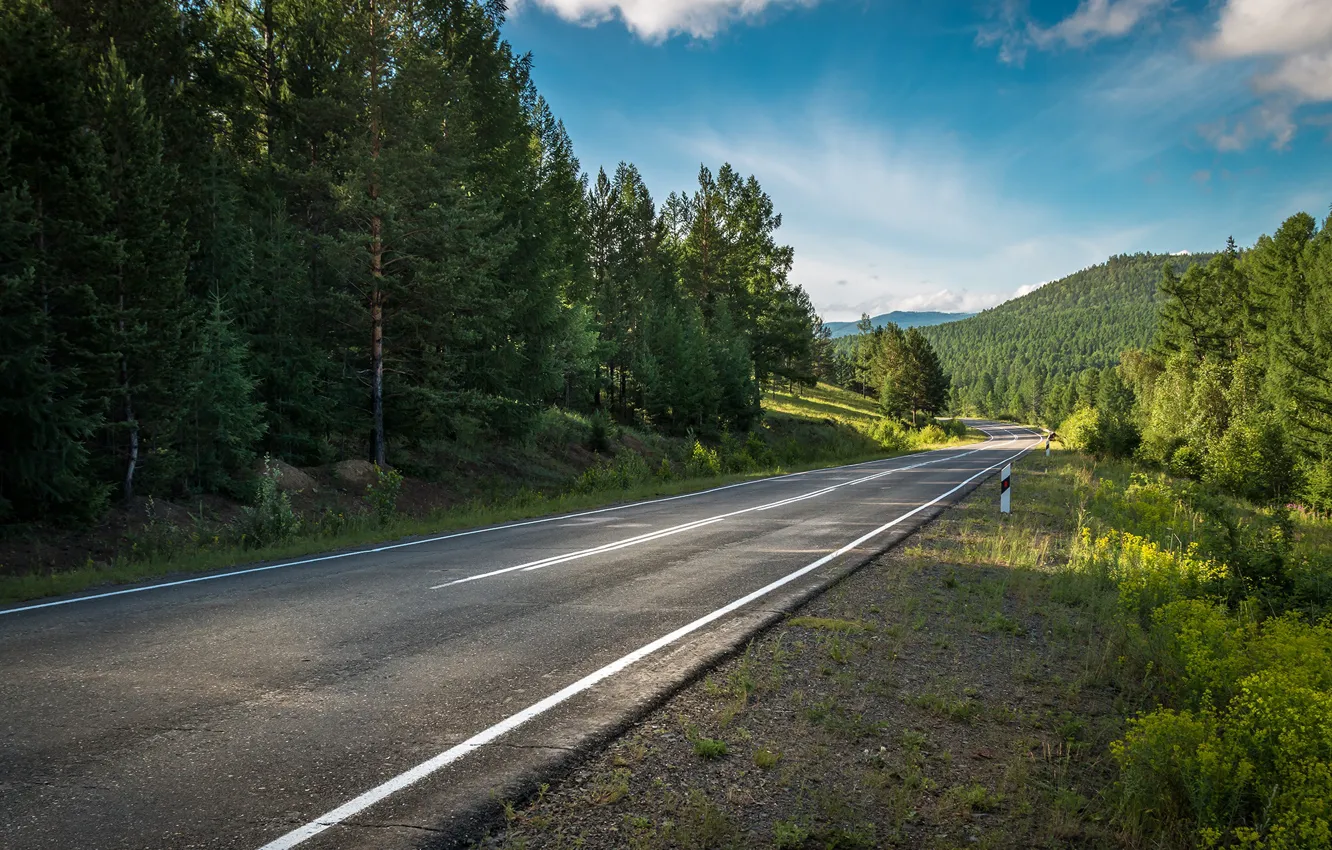 Photo wallpaper road, greens, summer, the sky, asphalt, trees