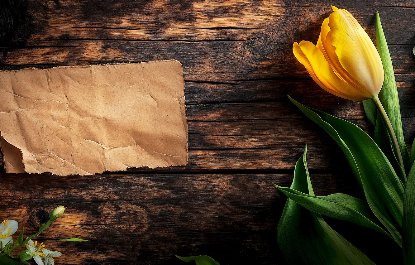 Photo wallpaper flowers, yellow, paper, holiday, Board, spring, tulips, note