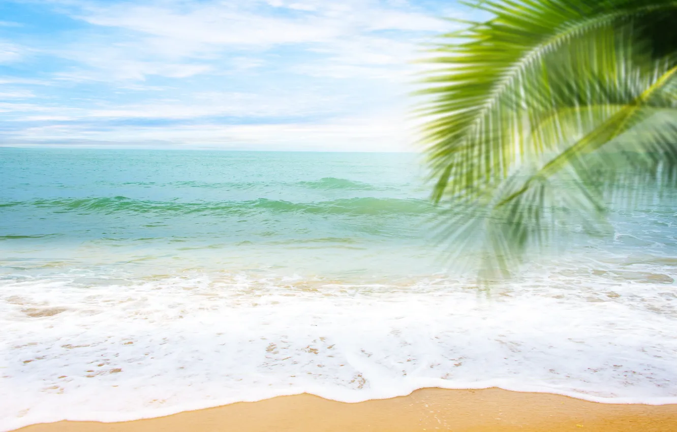 Photo wallpaper sand, sea, wave, beach, summer, the sky, palm trees, shore