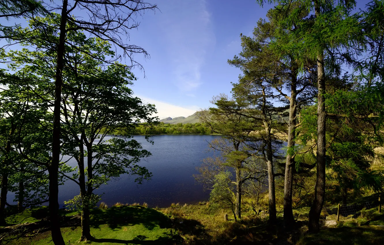 Photo wallpaper trees, lake, shore, Scotland, Glasgow