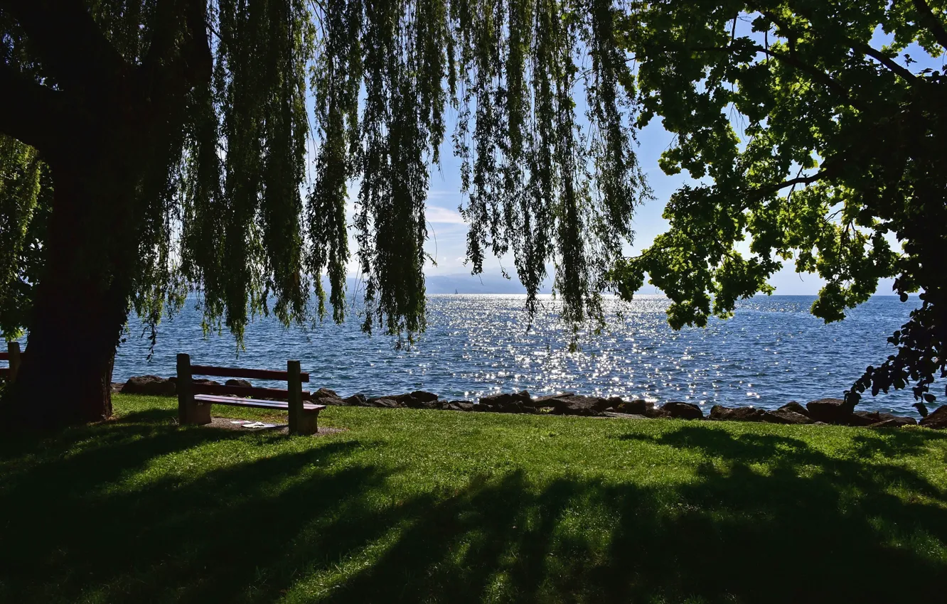 Photo wallpaper lake, tree, Switzerland, benches, Switzerland, Canton of Vaud, Vaud