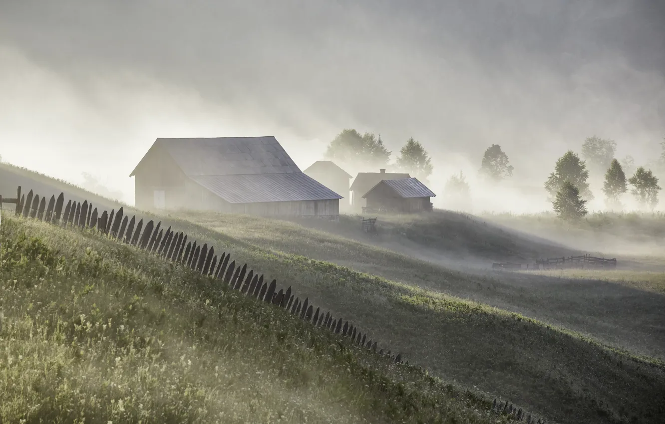 Photo wallpaper summer, fog, home, morning