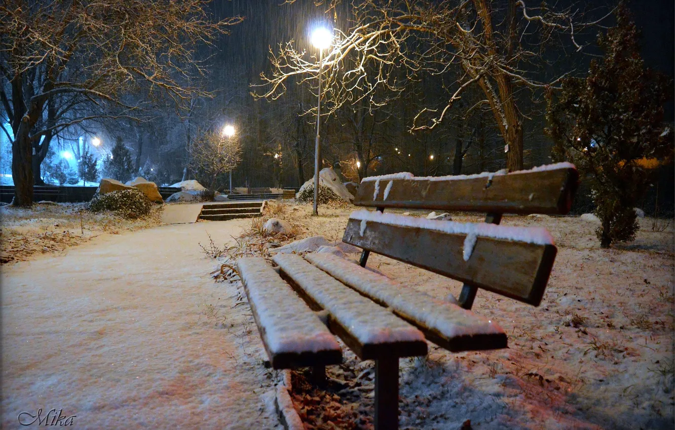 Photo wallpaper Winter, Night, Snow, Bench, Lights, Park, Winter, Night