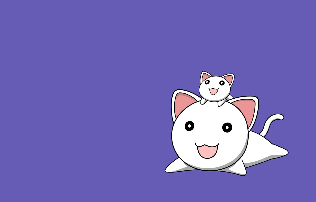 Photo wallpaper cat, smile, background, lilac, cats, minimalism, Anime, two
