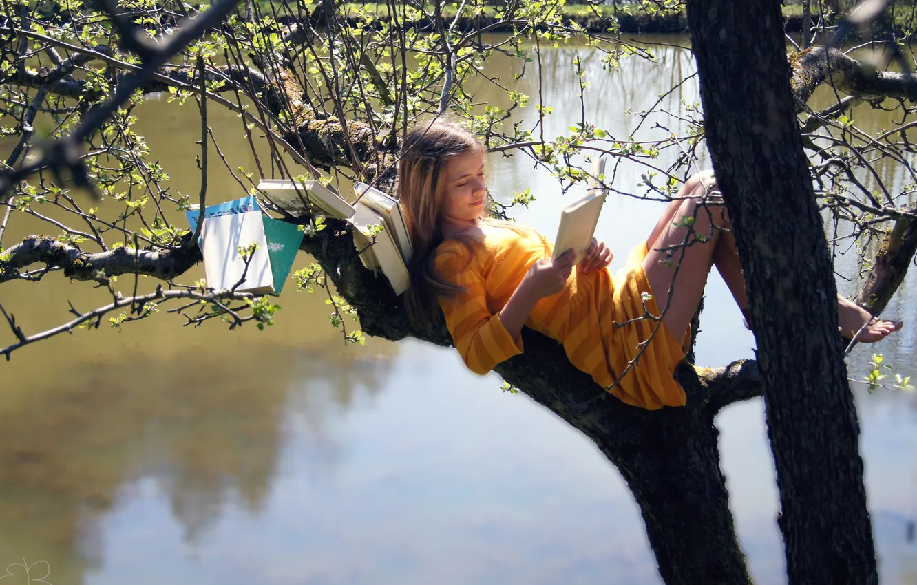 Photo wallpaper water, girl, tree, books, girl, water, reads
